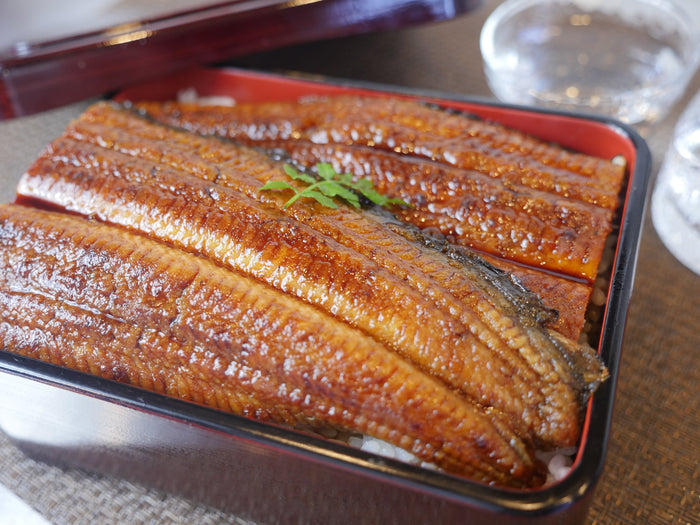 【父の日限定・浜名湖産】特大サイズ"うなぎ一本焼き" 蒲焼き約200g(1本~3本)山椒&タレ付き・冷凍