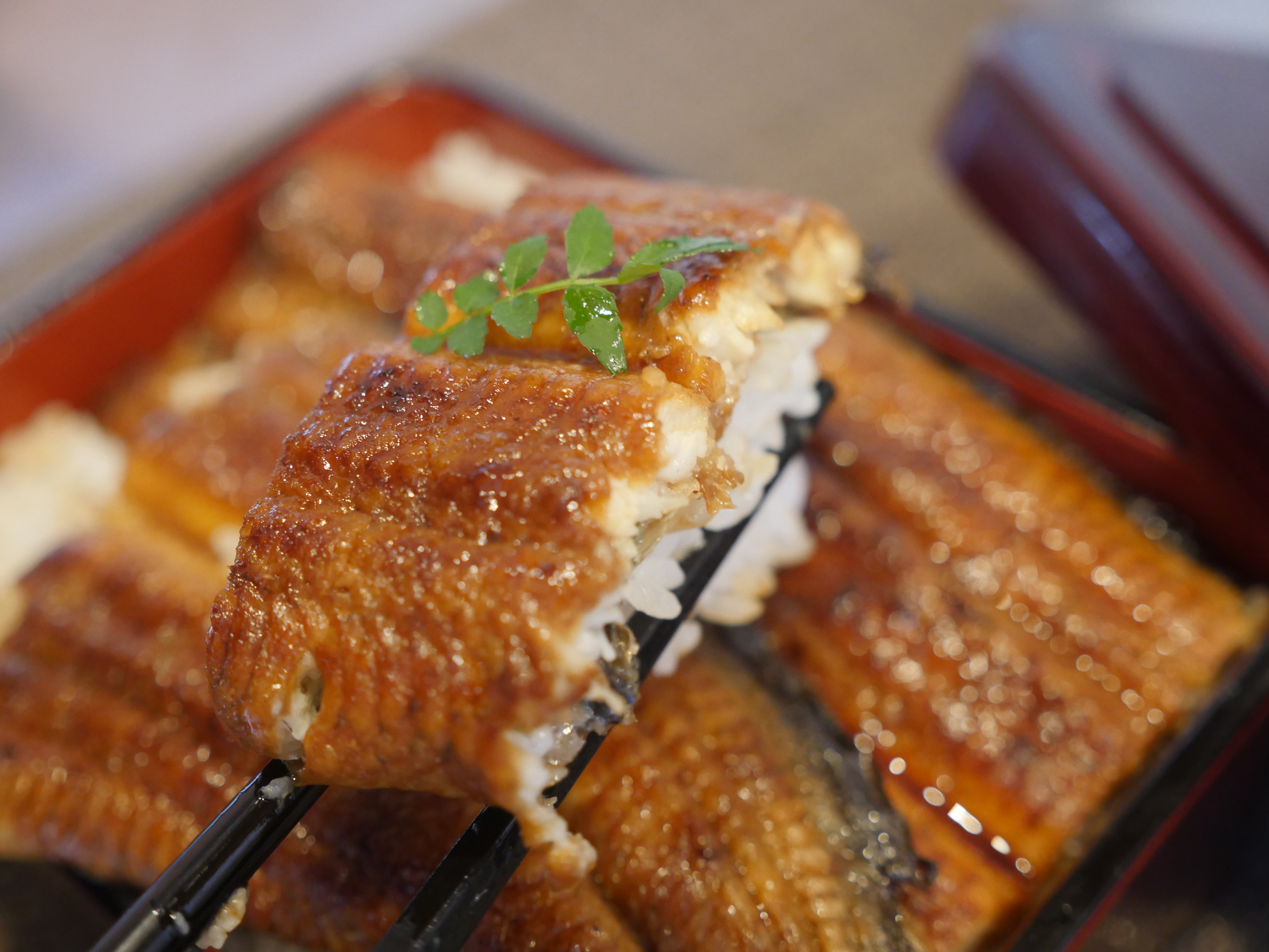 【浜名湖産】特大サイズ"うなぎ一本焼き" 蒲焼き約200g(1本~3本)山椒&タレ付き・冷凍