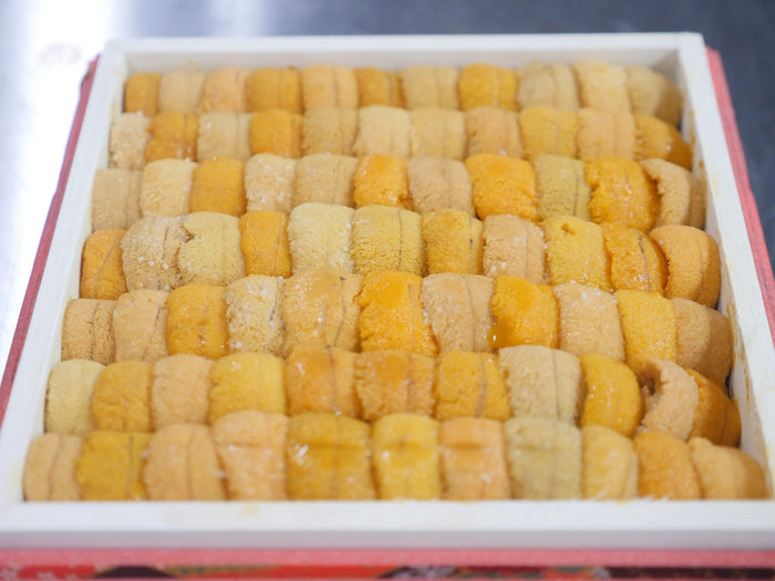 【板うに特特盛400g】バフンウニ並び"特"A（約400g）弁当箱 豊洲市場直送・冷蔵
