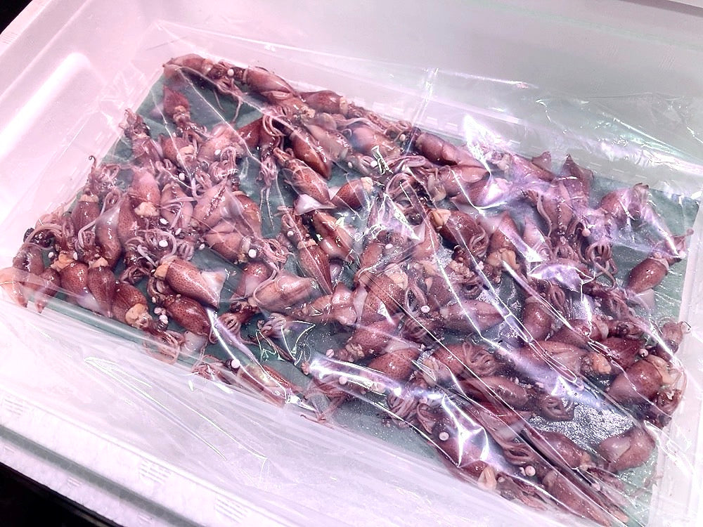 【豊洲直送】"富山"or"兵庫"旬のボイルホタルイカ（約350g前後）・冷蔵