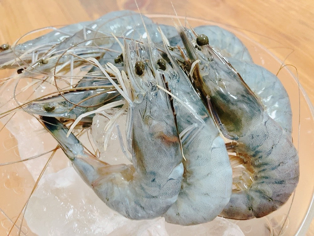『天使の海老(えび)』 ニューカレドニア産・最高品質の証QUALICERT認証（約1kg・30/40匹）・冷凍