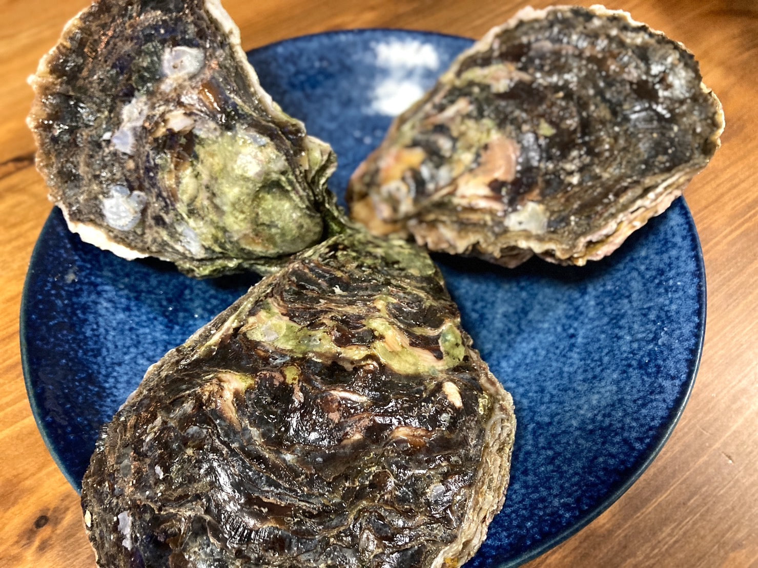 【豊洲市場直送】旬の岩牡蠣の食べ比べセット（3種類・計3個）