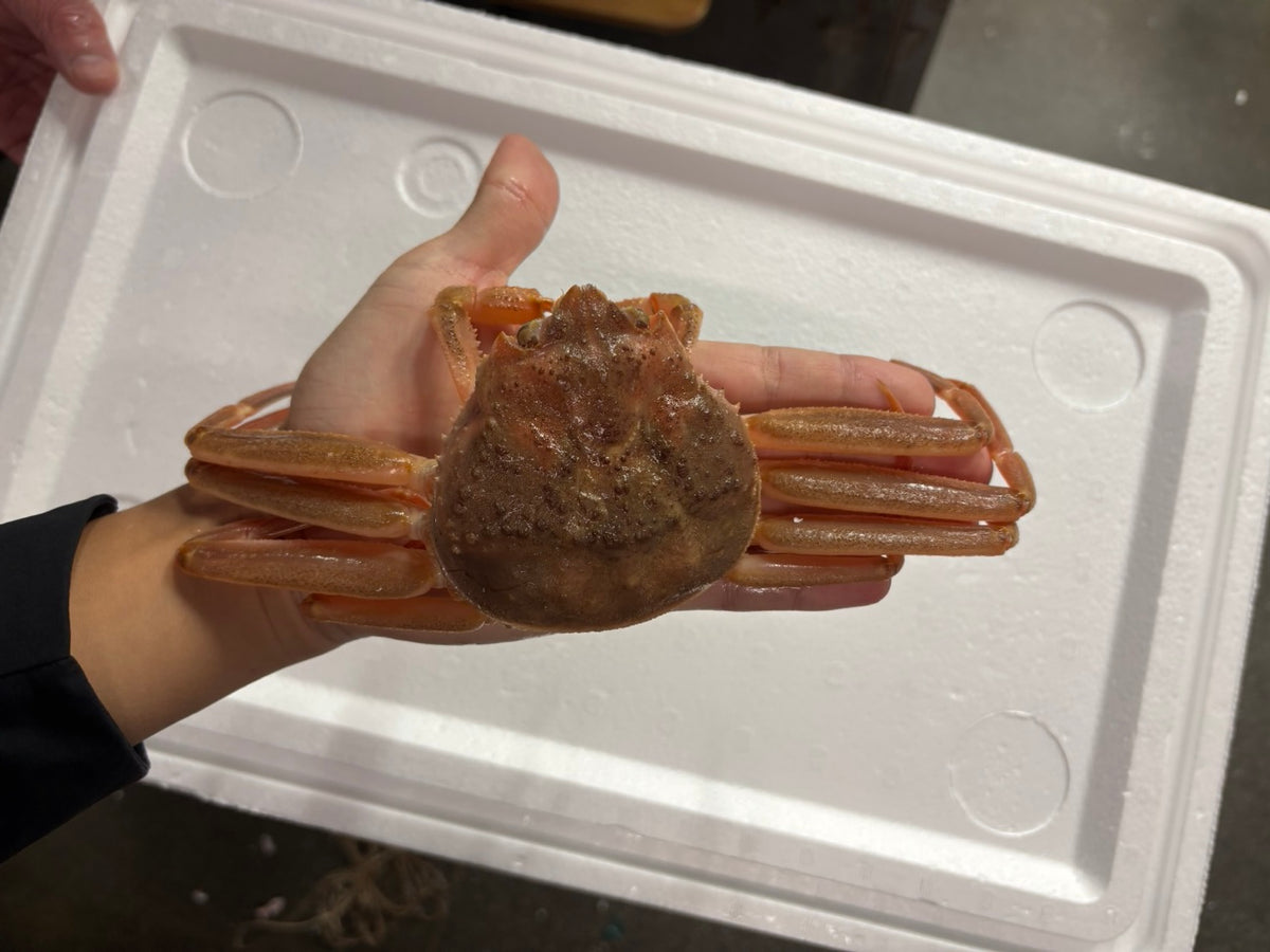 旬のご馳走】『