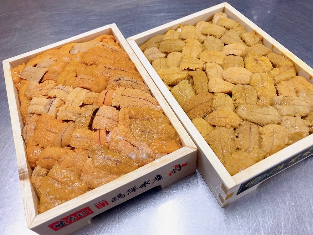 【お得！】紅白うに食べ比べセット『ムラサキウニばらA』&『バフンウニばらB』弁当箱・各約250g・冷蔵