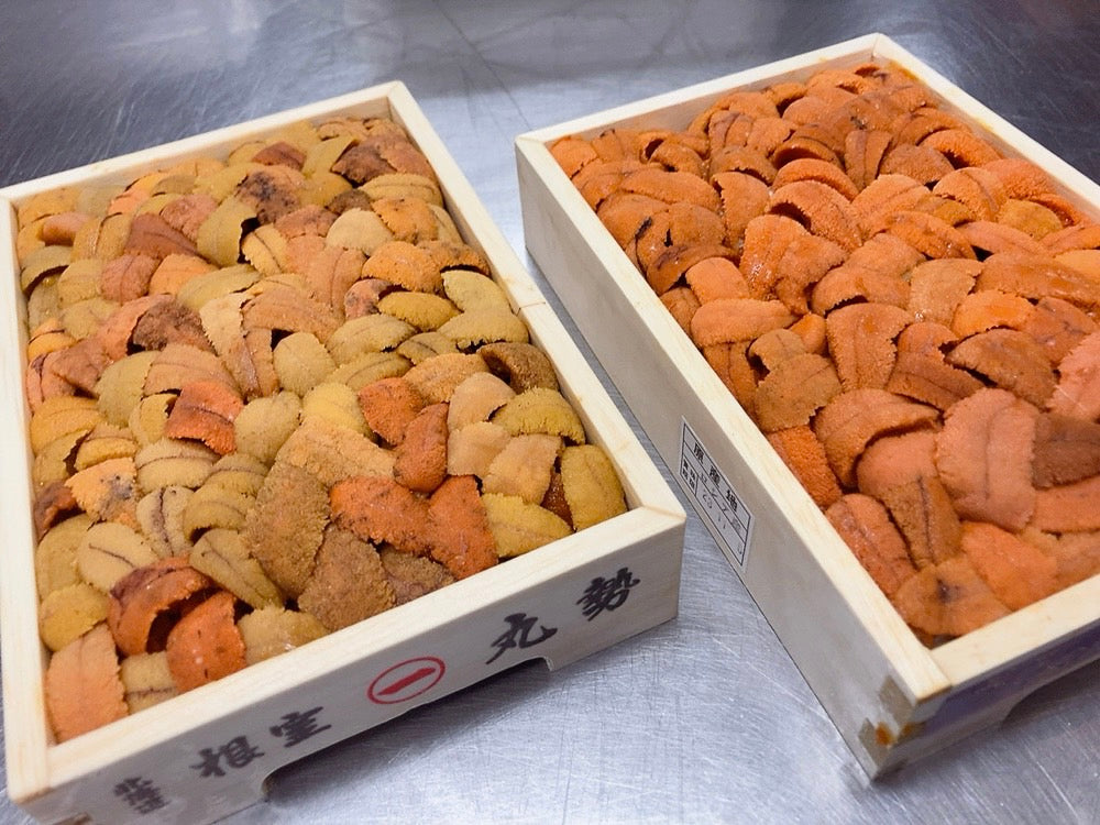 【お得！】バフンウニばら2種食べ比べセット！弁当箱・各約250g（合計500g）・冷蔵