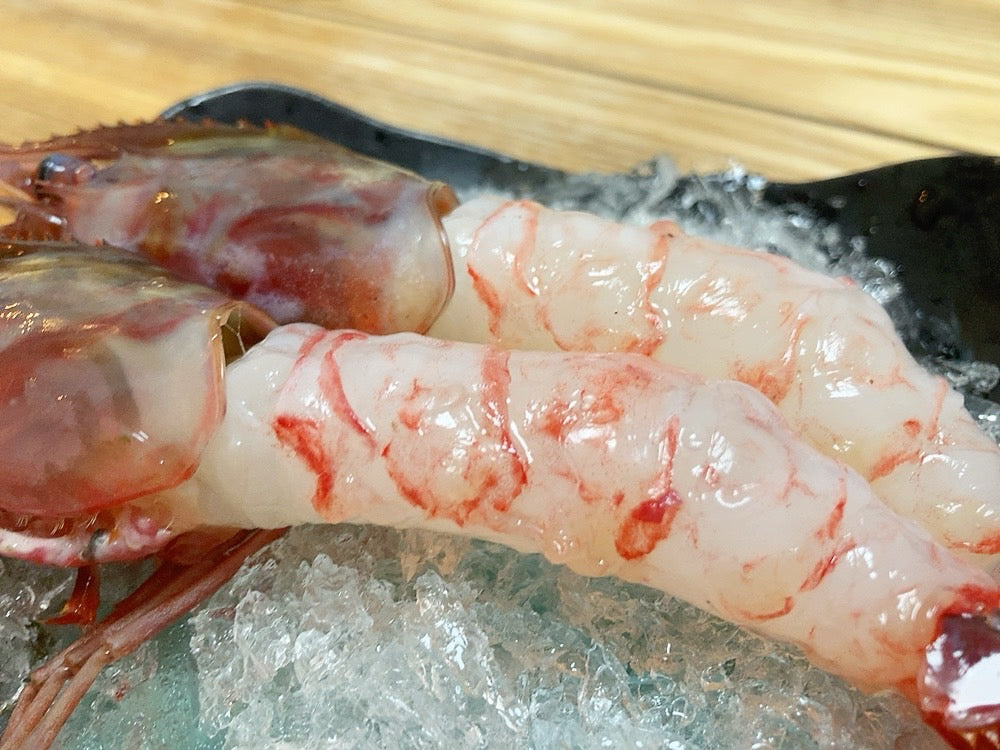 【豊洲直送】幻の海老"ぶどうえび"最も希少な海老をご自宅で。約300g（1尾50-70g・4-6尾） ・冷蔵