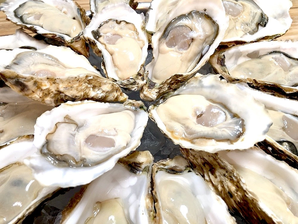 【豊洲市場直送】牡蠣の食べ比べセット（3種類以上・20個以上）