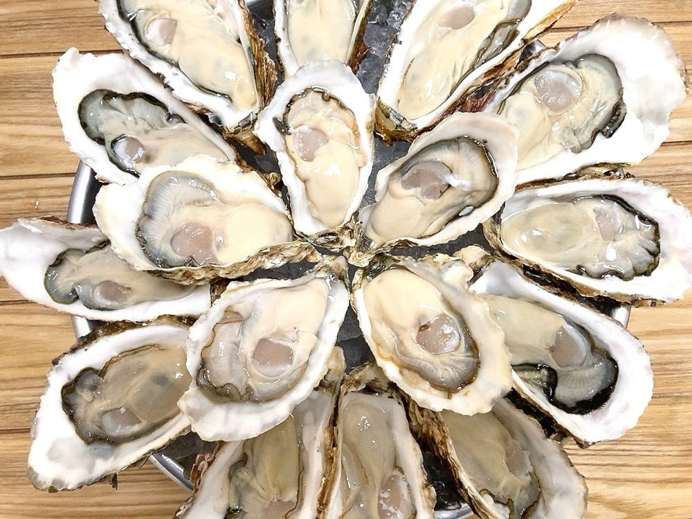 【豊洲市場直送】牡蠣の食べ比べセット（3種類以上・20個以上）