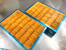 【ミョウバン不使用】無添加『バフンウニ』"並び"A品（約250g）弁当箱 ・冷蔵