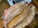 【特大】活メガイアワビ400-500gサイズ1枚 国産天然めがい鮑（約400~500g）・冷蔵便