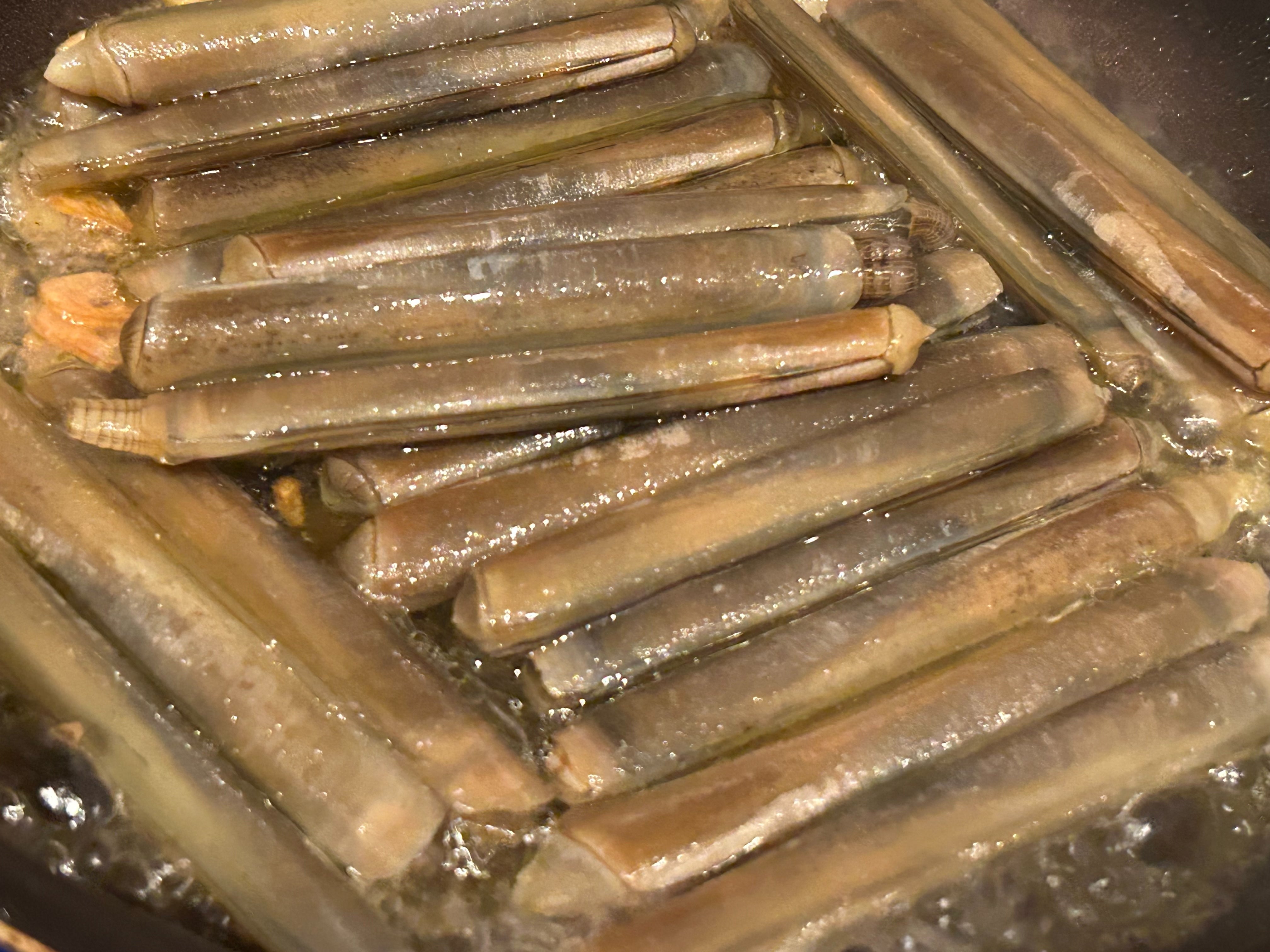【豊洲市場直送】希少！マテ貝約200g（活）・冷蔵