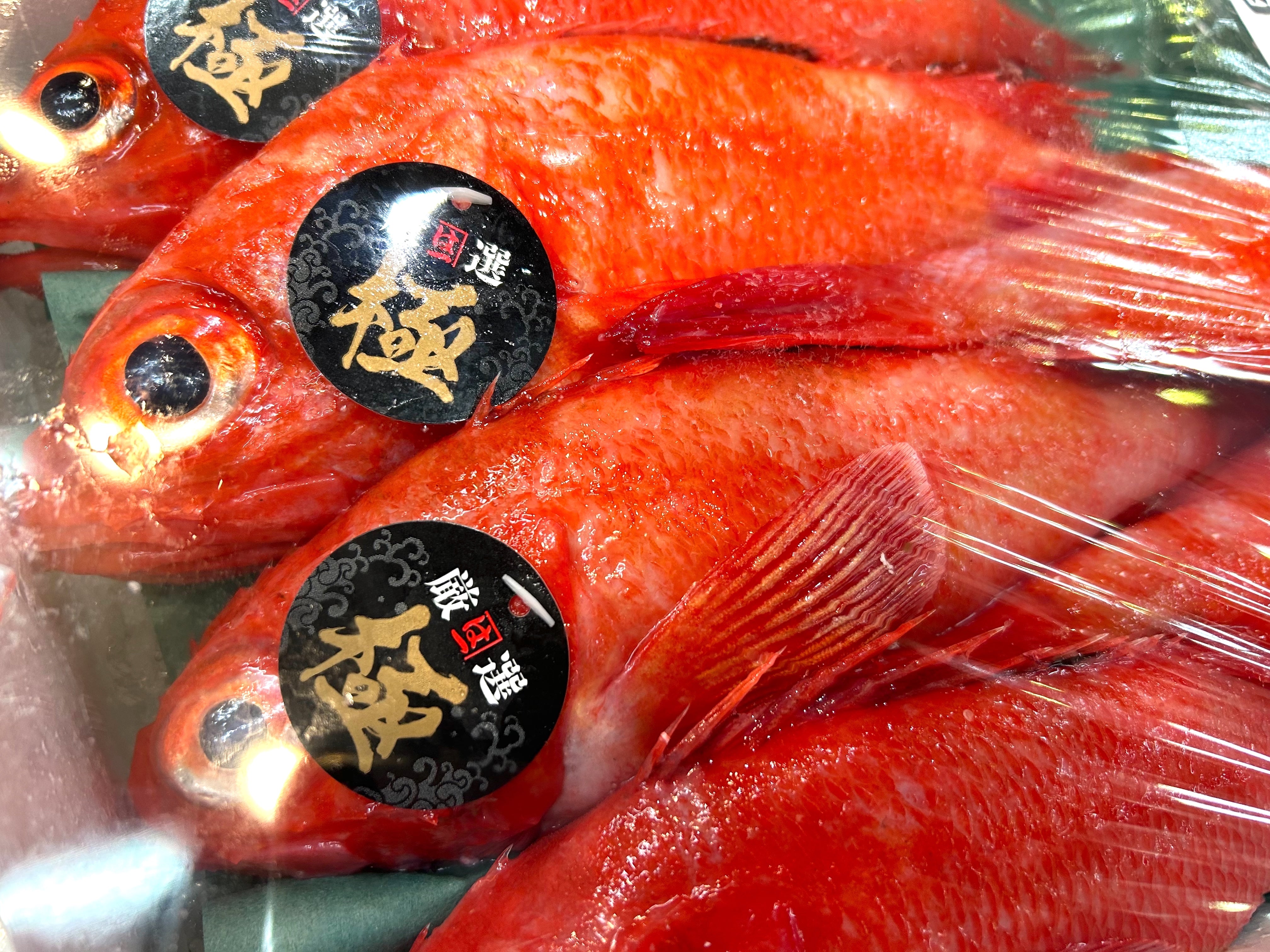 【豊洲市場直送】北海道産キンキ(キチジ)400~500g1尾（約500g・生）・冷蔵