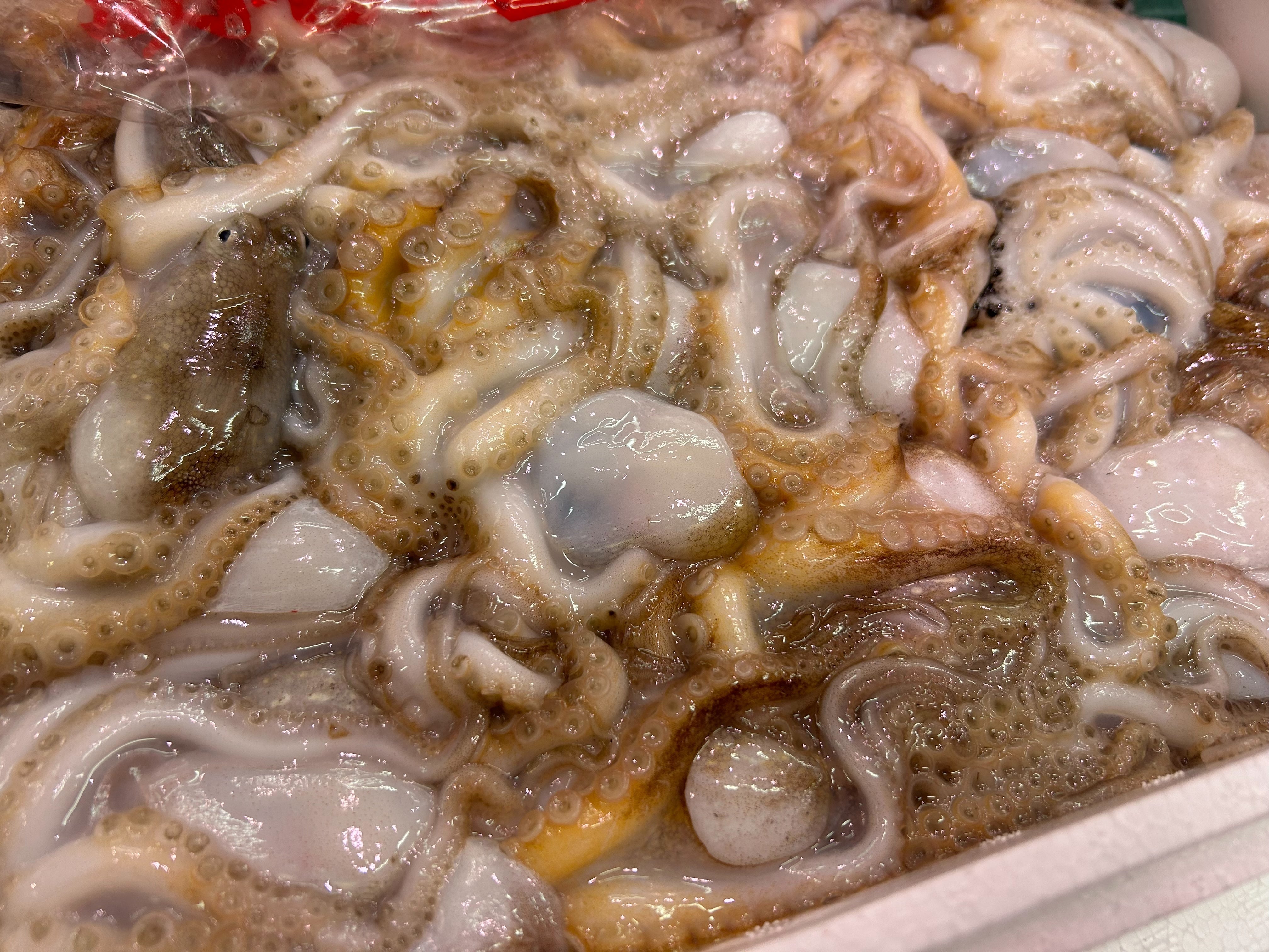 【卵入り】子持ち飯蛸(イイダコ) 約500g 国産(佐賀、淡路、明石他)・冷蔵
