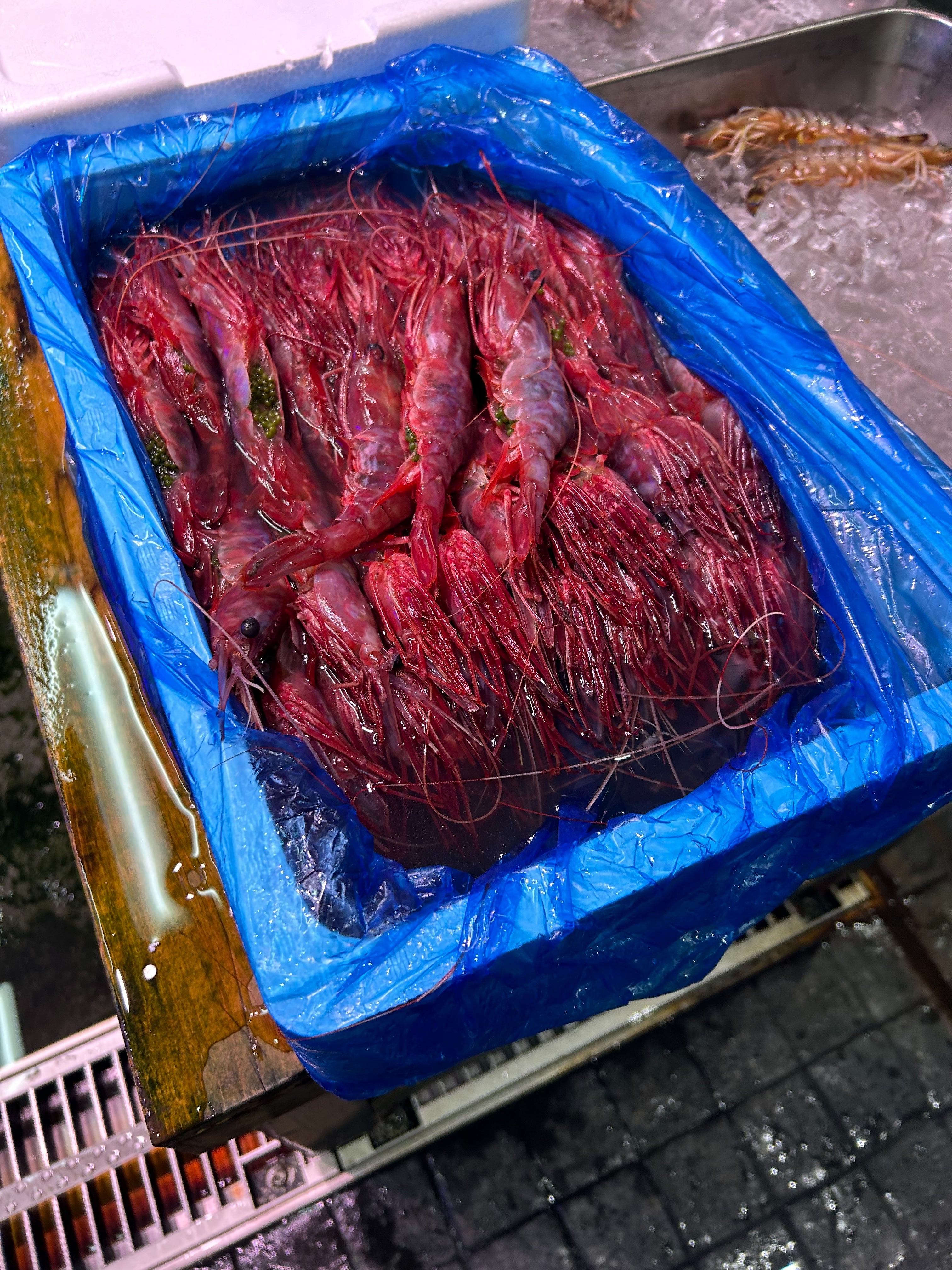【豊洲直送】幻の海老"ぶどうえび"最も希少な海老をご自宅で。約300g（1尾50-70g・4-6尾） ・冷蔵