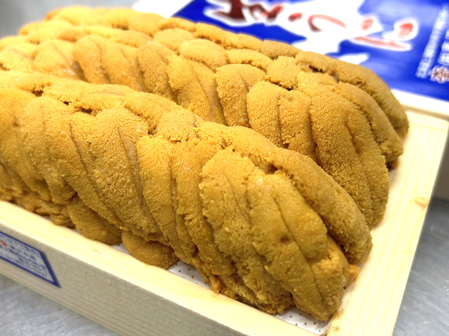 【極上・東沢の生うに】『キタムラサキウニ（白雲丹）』並び・最高級A品（約300g）弁当箱・冷蔵