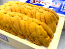 【極上・東沢の生うに】『キタムラサキウニ（白雲丹）』並び・最高級A品（約300g）弁当箱・冷蔵