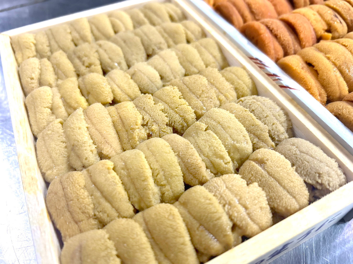 お得！合計500g】紅白うに食べ比べセット『ムラサキウニ並びA