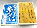 【極上『大千』生うに】3-6月限定青森県大間産ムラサキウニ（白ウニ）【ダイセン雲丹並び約250g】 ・冷蔵