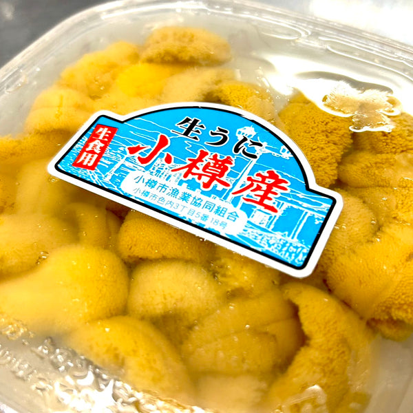 【購入不可】ちびうにさん専用商品② S__84770949_0_666fb593-6d3a-