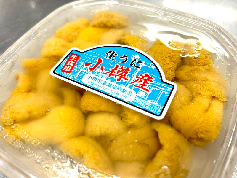 北海道小樽産 生キタムラサキウニ 100g塩水パック A品 業務用