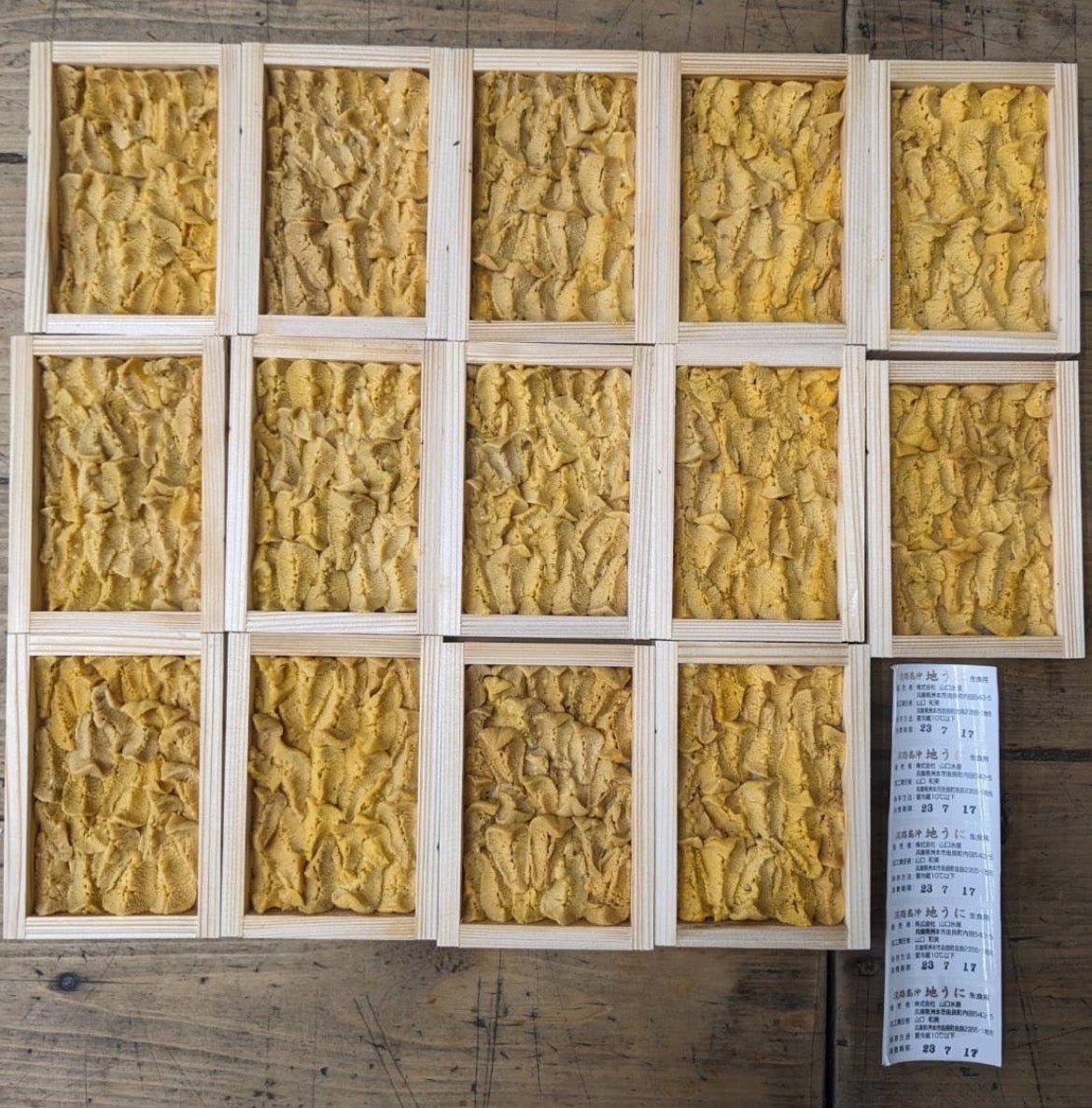 【由良の『赤うに』】7~9月限定”雲丹の王様”完全無添加赤うに（約60g〜） ・冷蔵