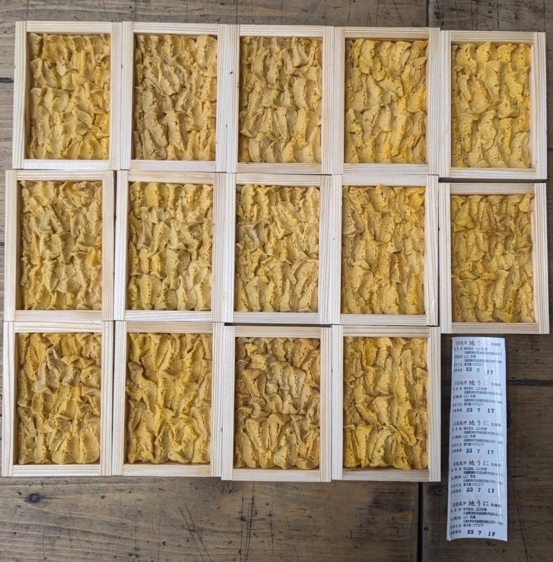 由良の『赤うに』】7~9月限定”雲丹の王様”完全無添加赤うに（約60g