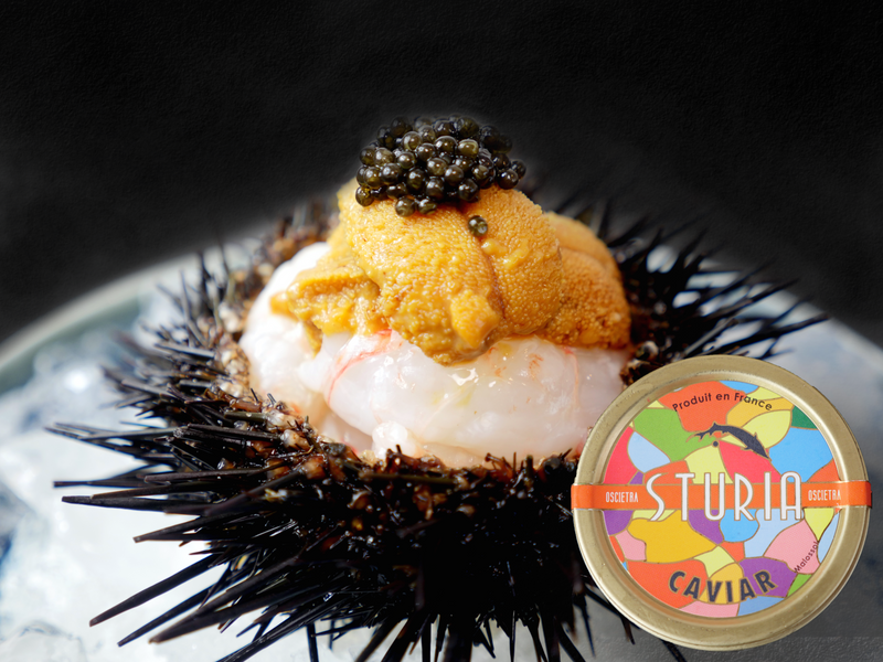 【世界最高峰キャビアSTURIA】フランス産フレッシュキャビア（非加熱）オシェトラ50g・冷蔵