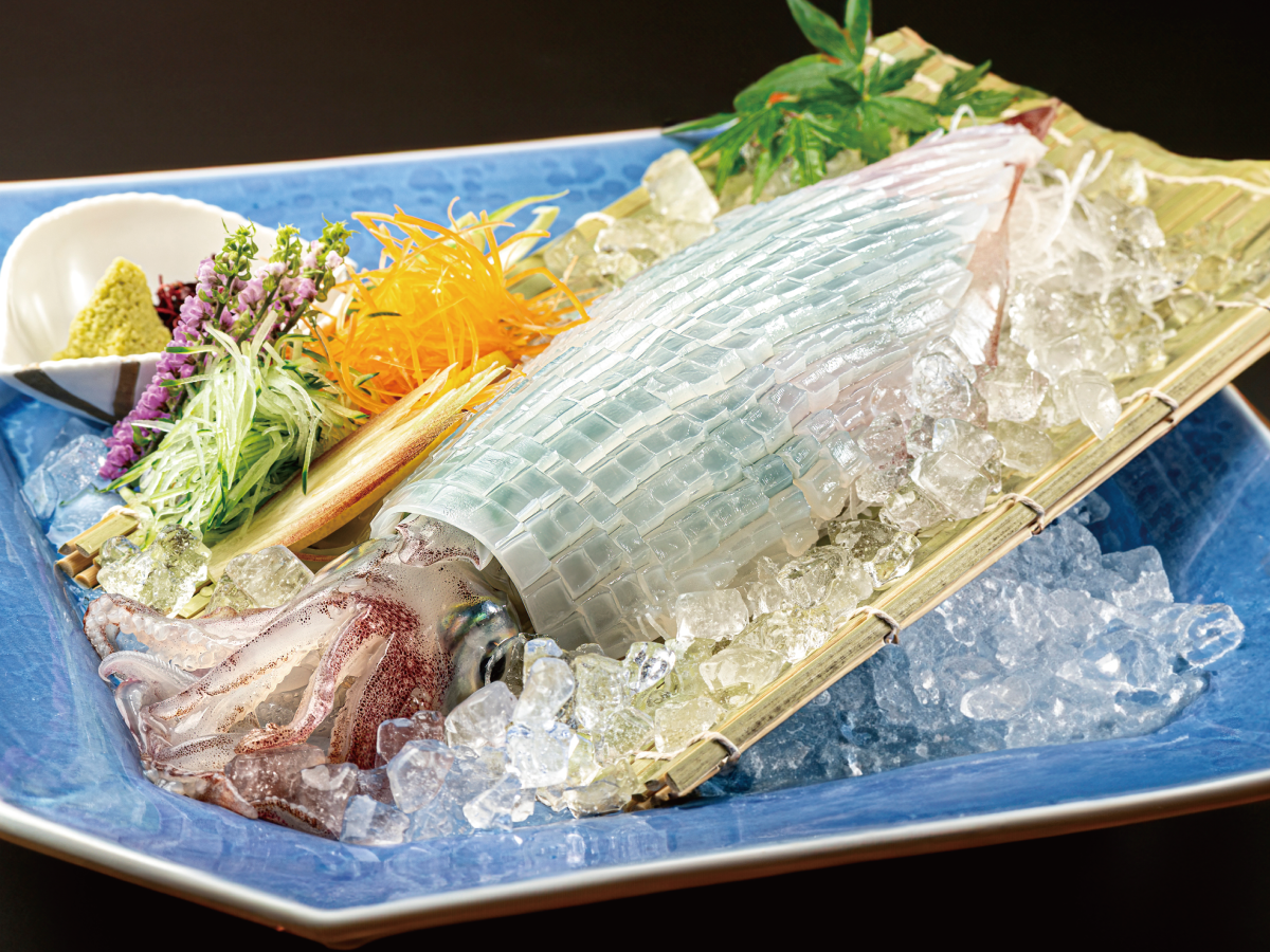 【産直・漁師一本釣り】『活イカパック』ケンサキイカ 隠岐郡西ノ島産 1杯 Lサイズ（胴長20cm〜25cm）・産地直送