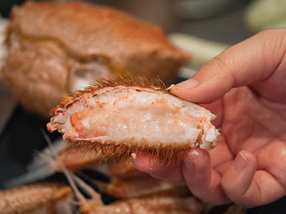【豊洲市場直送】北海道産”特大”毛蟹約800gサイズ・浜茹で冷凍