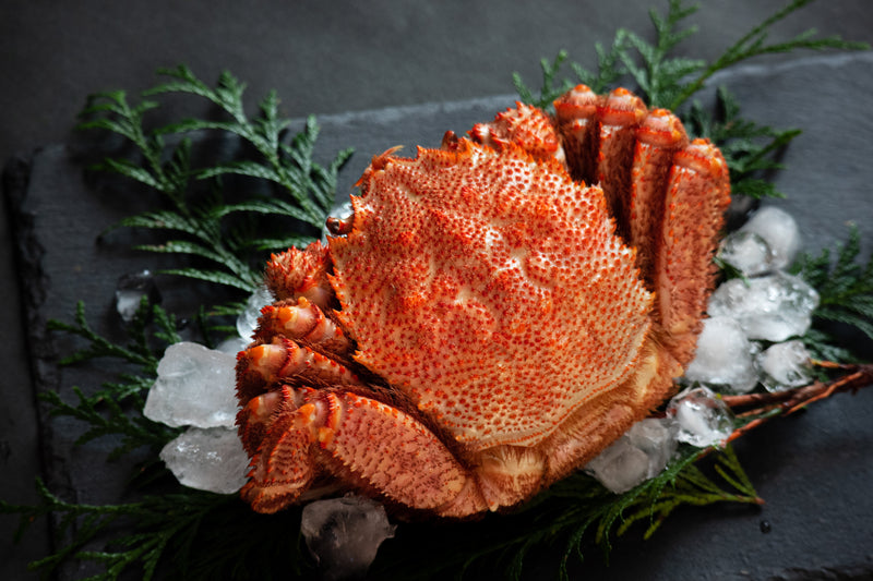 【豊洲市場直送】北海道産”特大”毛蟹約800gサイズ・浜茹で冷凍