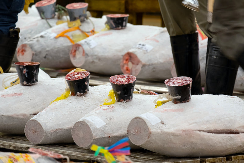 【マグロの王様】天然本鮪（ホンマグロ）赤身200g 冷凍