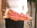 【豊洲市場直送】"特大”5Lor7Lタラバガニ1肩（グロス1kg/解凍後800gorグロス1.5kg /解凍後1.2kg）・冷凍