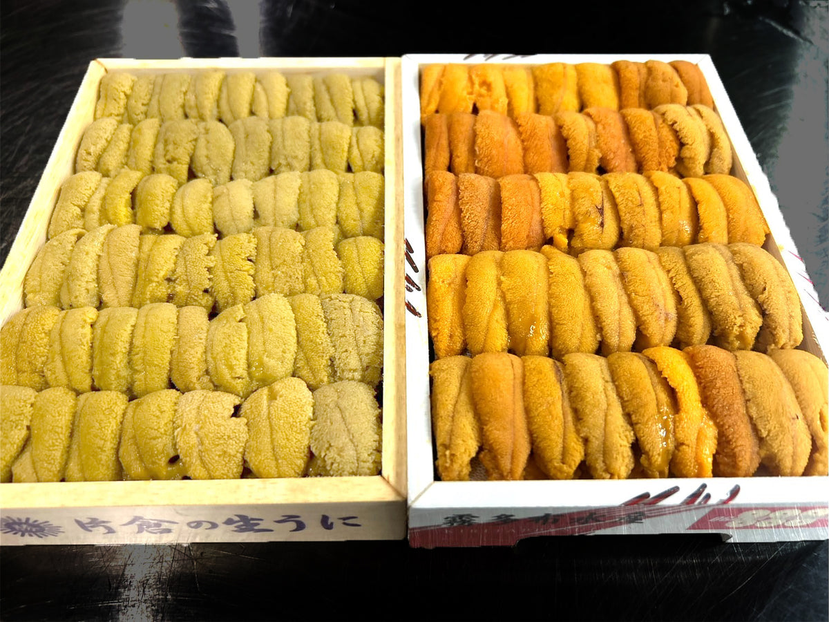 ainoshowe2ya ムラサキウニ５枚 お得！合計500g】紅白うに食べ比べセット『ムラサキウニ並びA
