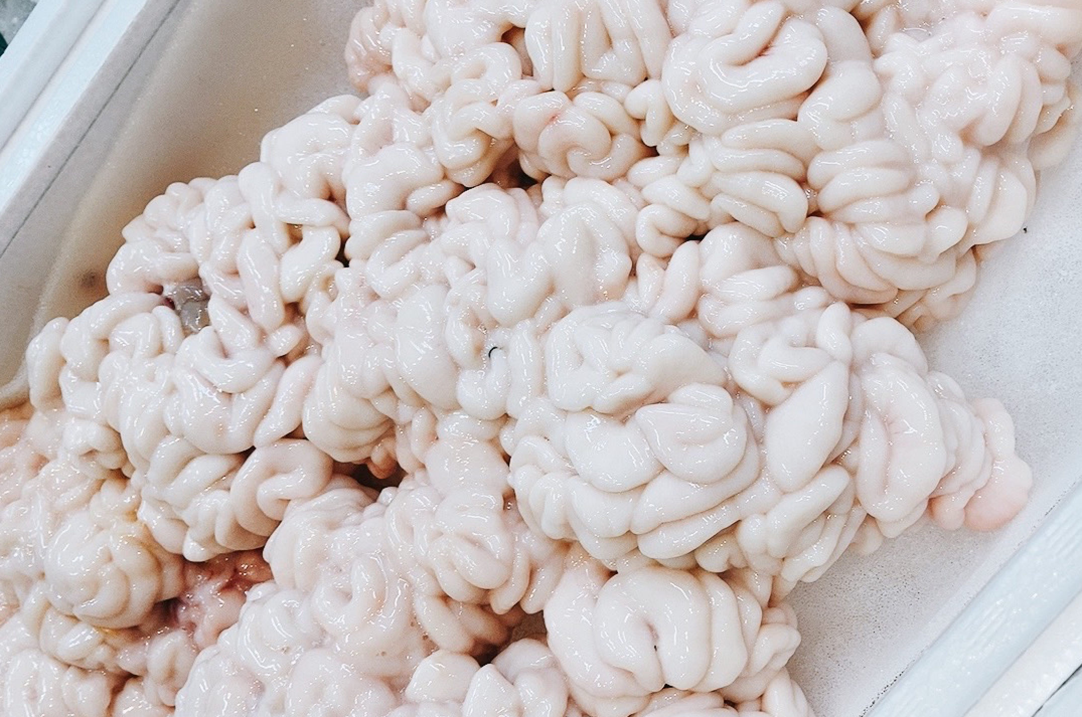 【豊洲市場直送】北海道産最高級 真ダラ生白子（約500g）・冷蔵