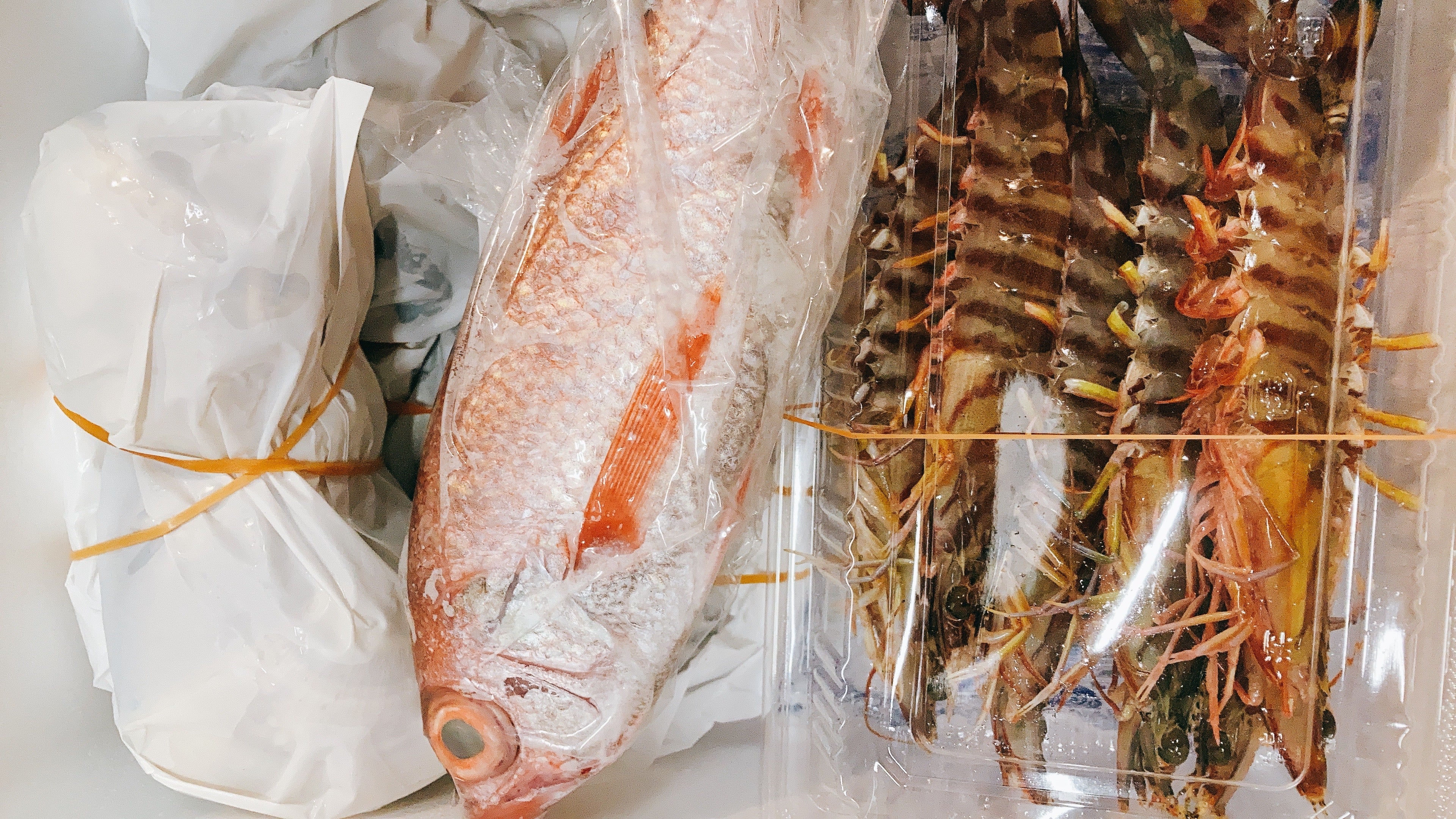 【紅瞳】白身魚の王様「ノドグロ」最上級ブランド"紅瞳"450-550g・豊洲市場直送・冷蔵