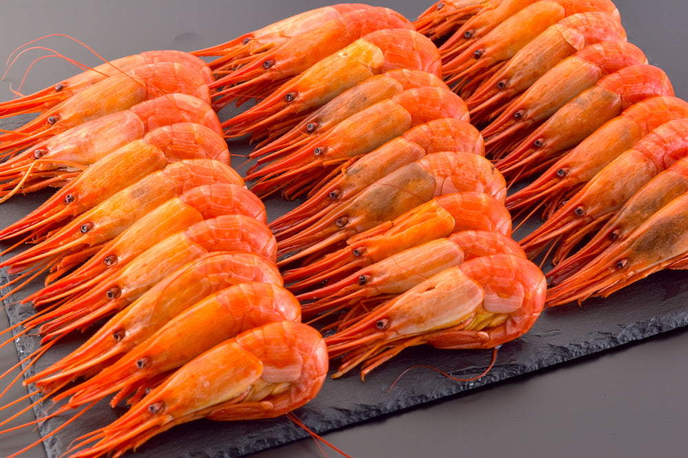 【北海道直送】北海道根室産「北海シマエビ（MLサイズ）」浜茹で（500g・40尾前後）高級食材・冷凍