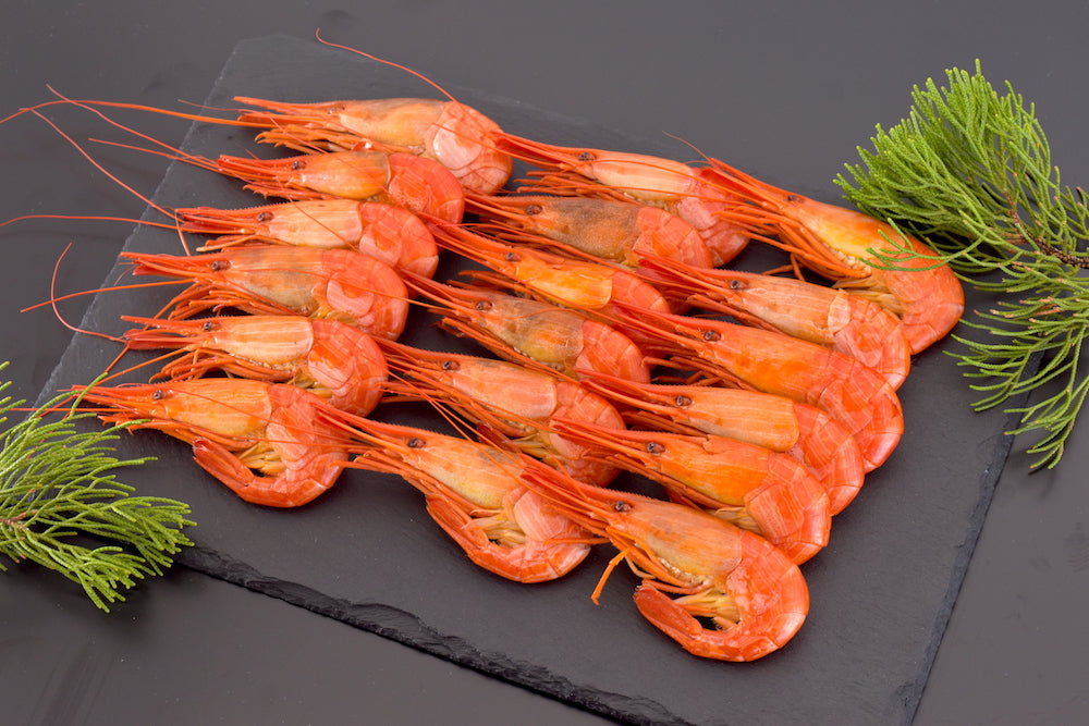 【北海道直送】北海道根室産「北海シマエビ（MLサイズ）」浜茹で（500g・40尾前後）高級食材・冷凍