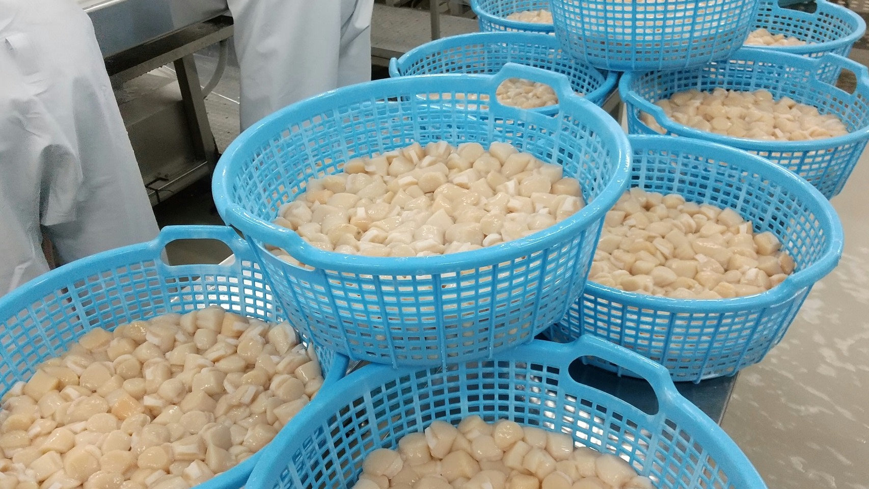【訳あり】北海道産ほたて貝柱“Aフレーク” たっぷり1kg・冷凍