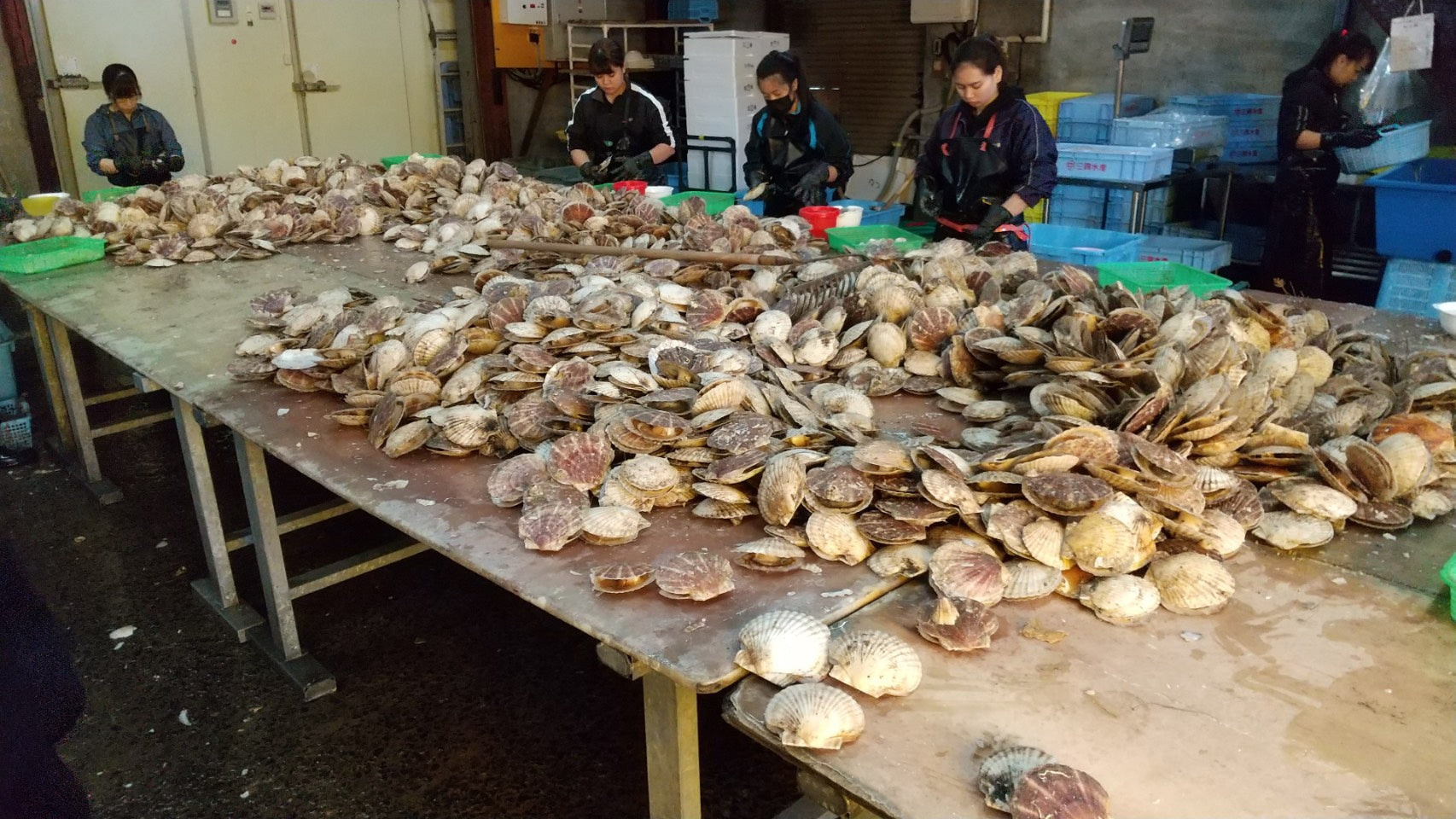 【訳あり】北海道産ほたて貝柱“Aフレーク” たっぷり1kg・冷凍