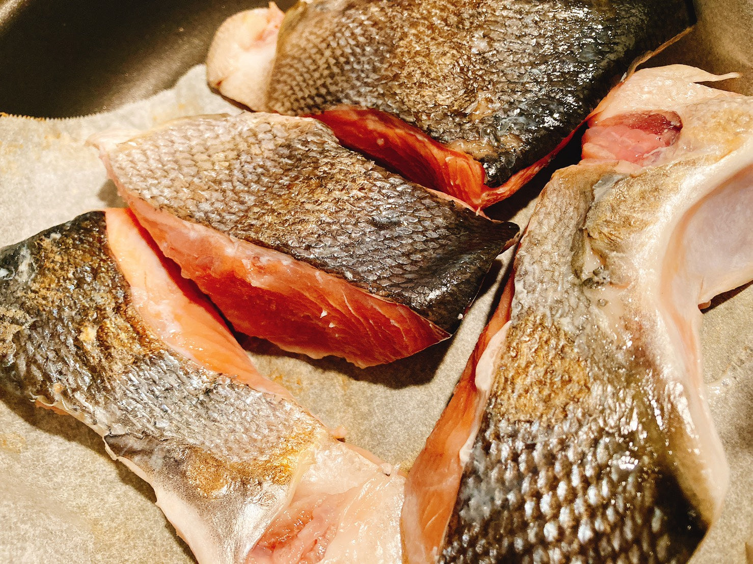 【北海道直送】北海道産秋鮭のカマ（500g・4個）冷凍