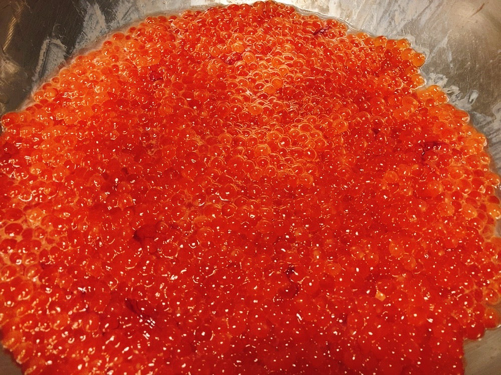 【豊洲市場直送】北海道産白鮭の『新物・生筋子（生食・醤油漬け用）』 約500g or 1kg 冷蔵
