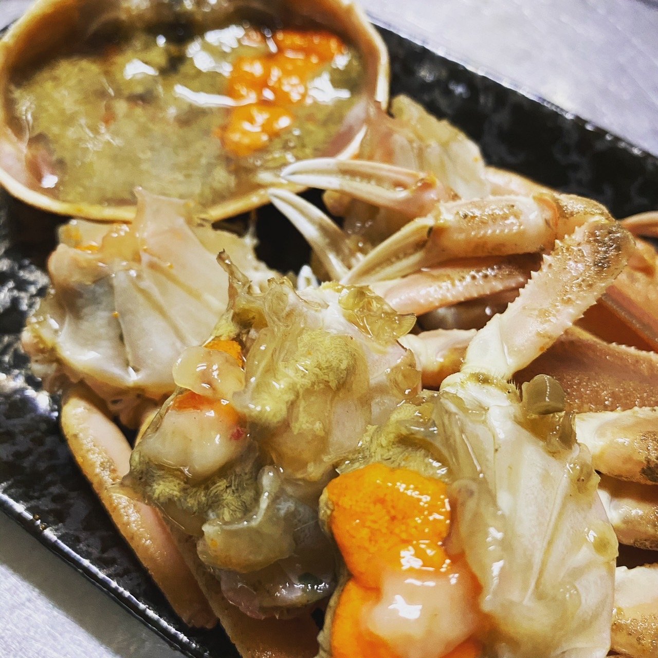 【ズワイガニのトップブランド】『"活"越前ガニ特大サイズ（タグ付き）』福井県産 1杯（900g〜1.1kg）※1〜4人前
