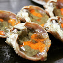 【冬の味覚の王様】『"活"松葉ガニ特大サイズ（タグ付き）』島根・鳥取・兵庫・京都府産 1杯（900g〜1.1kg）※1〜4人前