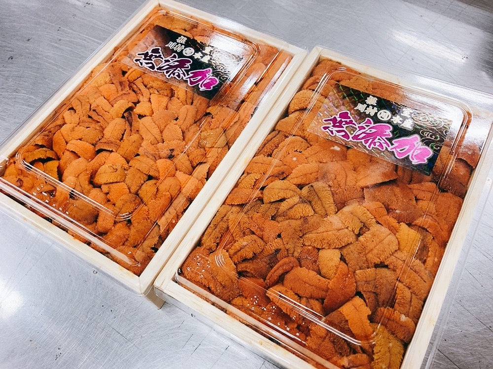 【ミョウバン不使用】無添加『エゾバフンウニ』バラ（約250g）弁当箱 ・冷蔵
