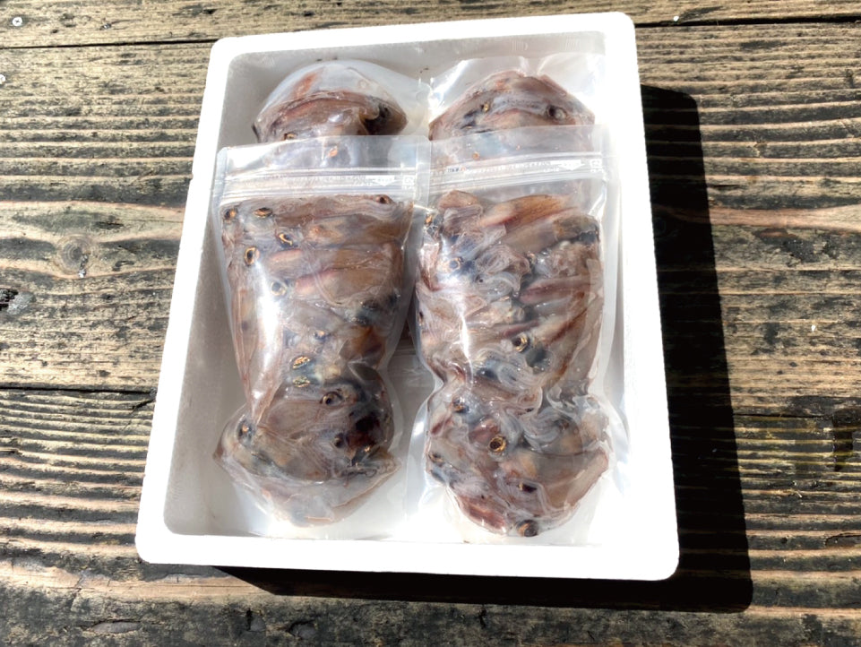 【漁師直送】 山陰沖産生ホタルイカ約1kg（約250g×4）生冷凍ほたるいか鮮度抜群