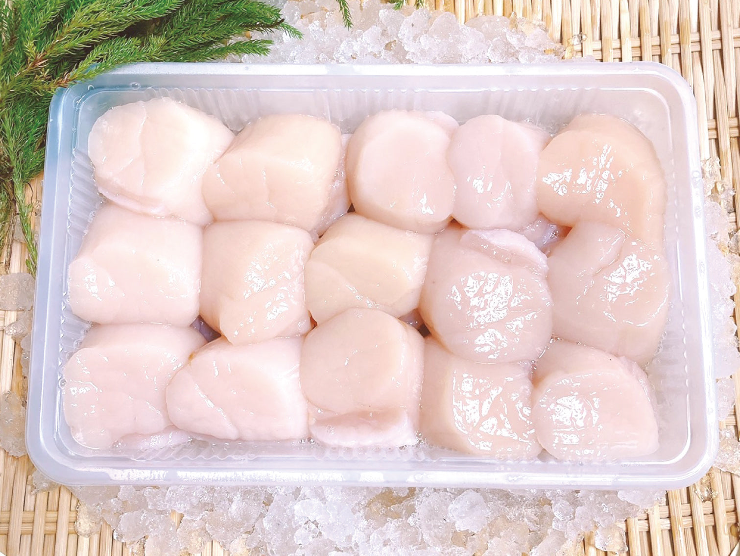 【豊洲市場直送】プリップリの特大生ホタテ（500g|15個）冷蔵