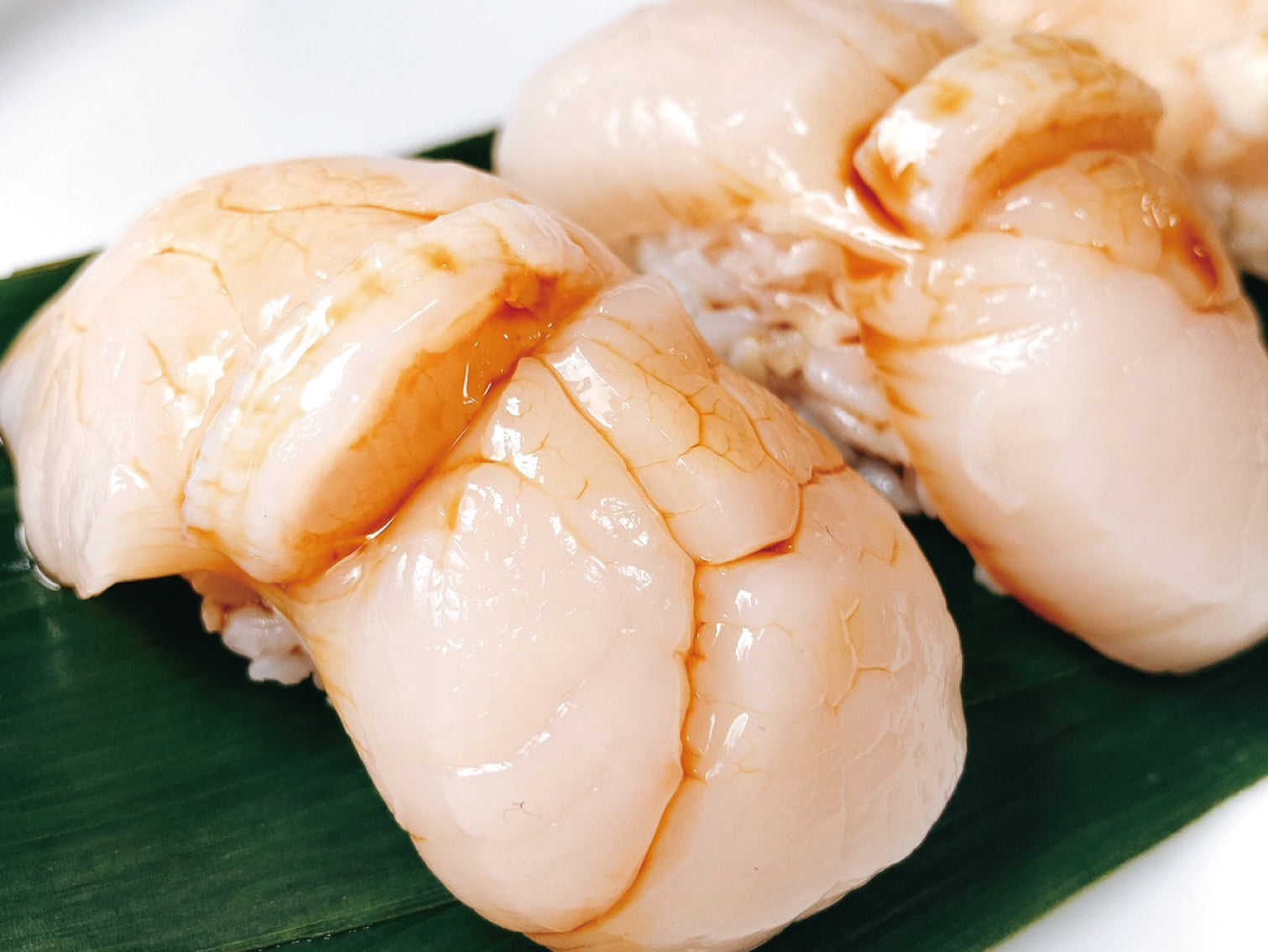 【豊洲市場直送】プリップリの特大生ホタテ（500g|15個）冷蔵