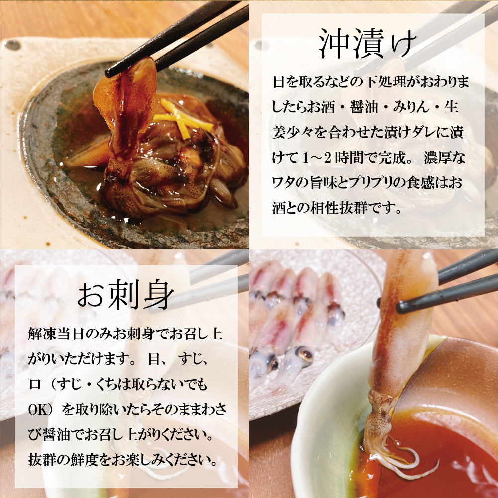 【漁師直送】 山陰沖産生ホタルイカ約1kg（約250g×4）生冷凍ほたるいか鮮度抜群